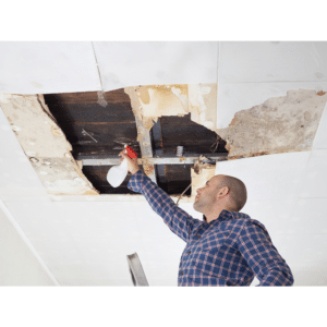 home owner mold removal